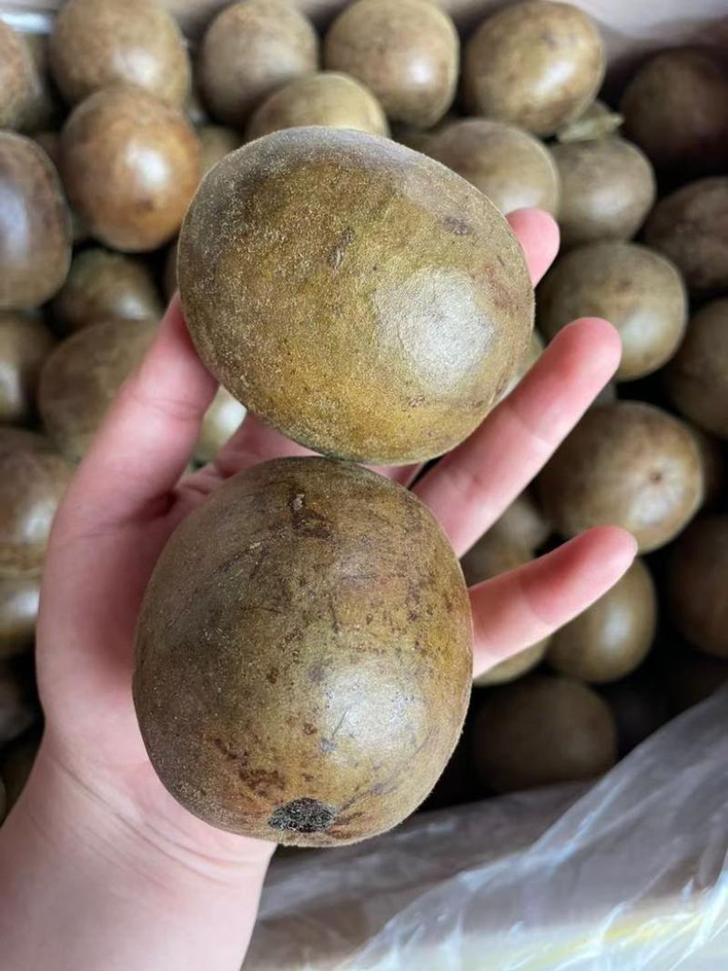新货罗汉果大箱大果700个每箱大个头颜色均匀