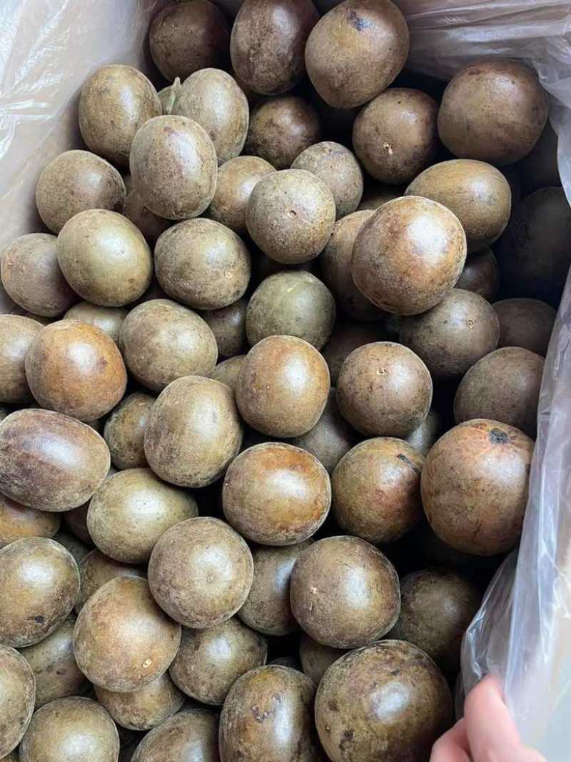 新货罗汉果大箱大果700个每箱大个头颜色均匀