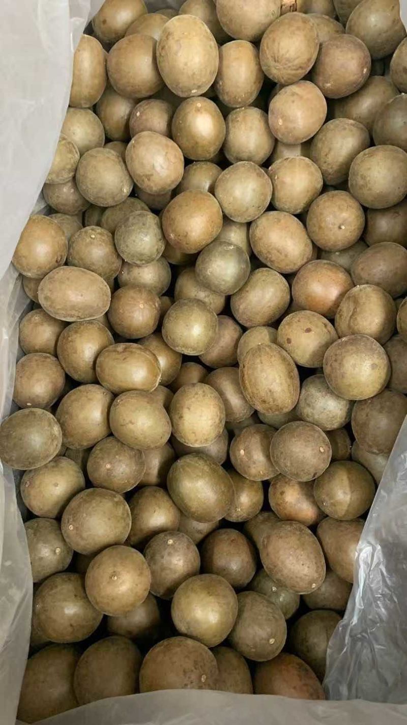 新货罗汉果大箱小果1200个每箱中个头颜色均匀