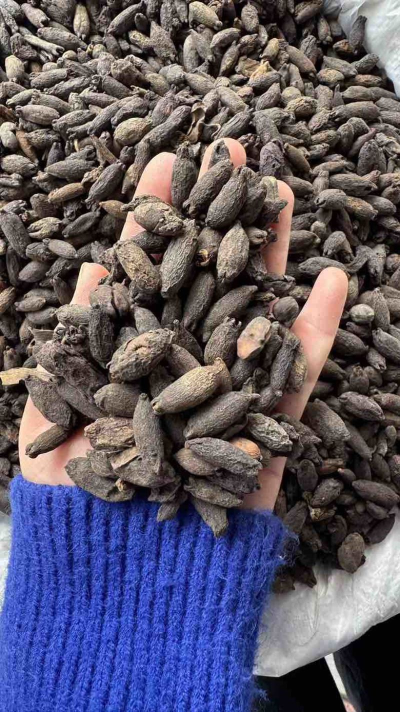 母丁香统货全干性价比高100斤每件