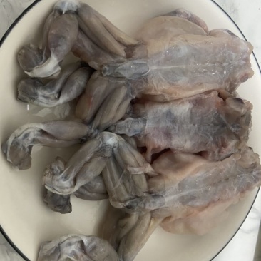 蟾蜍肉现杀去都去脚新鲜出炉