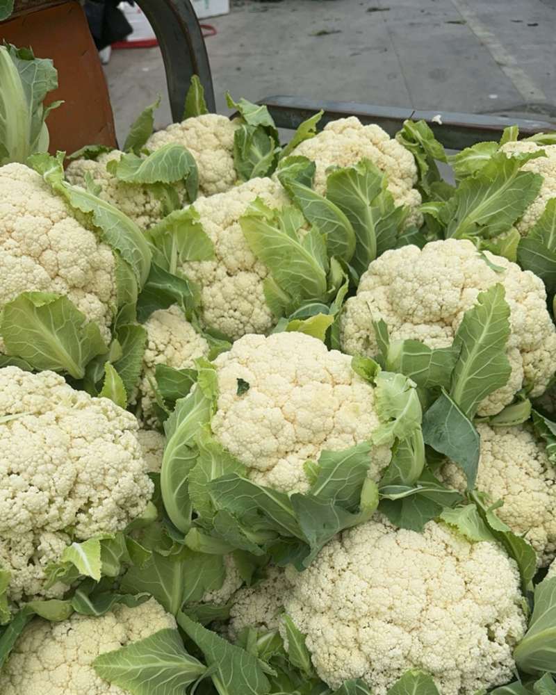 台州精品花菜散花大棚花现摘发货