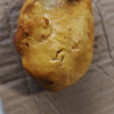 鸡宝