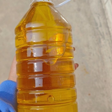 正宗山茶油一级压榨食用油茶籽油正品家用炒菜烹饪健康桶装植物油
