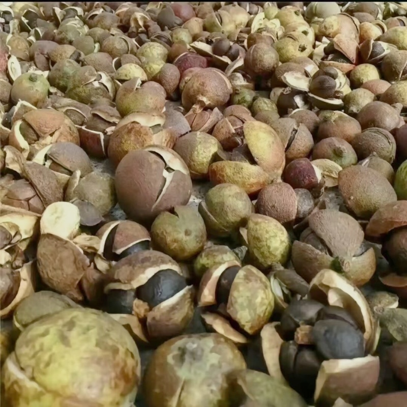 自家山茶油，欢迎老板拿货，支持一件代发，可以看样品