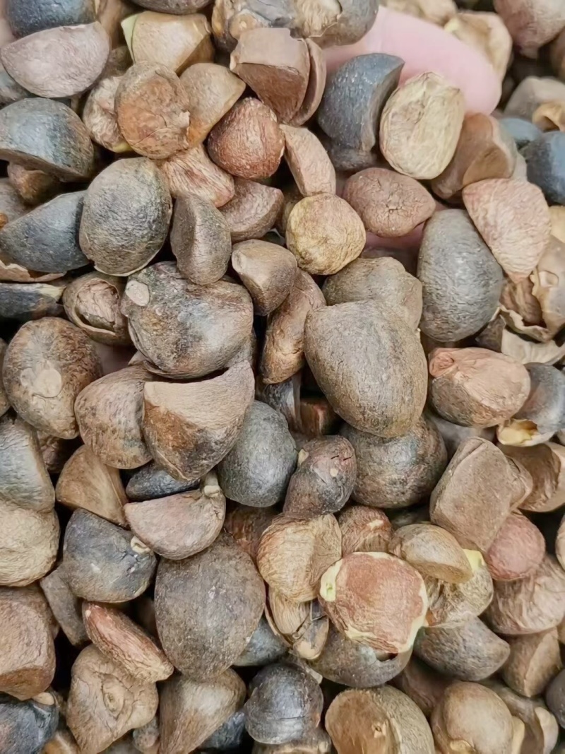 自家山茶油，欢迎老板拿货，支持一件代发，可以看样品