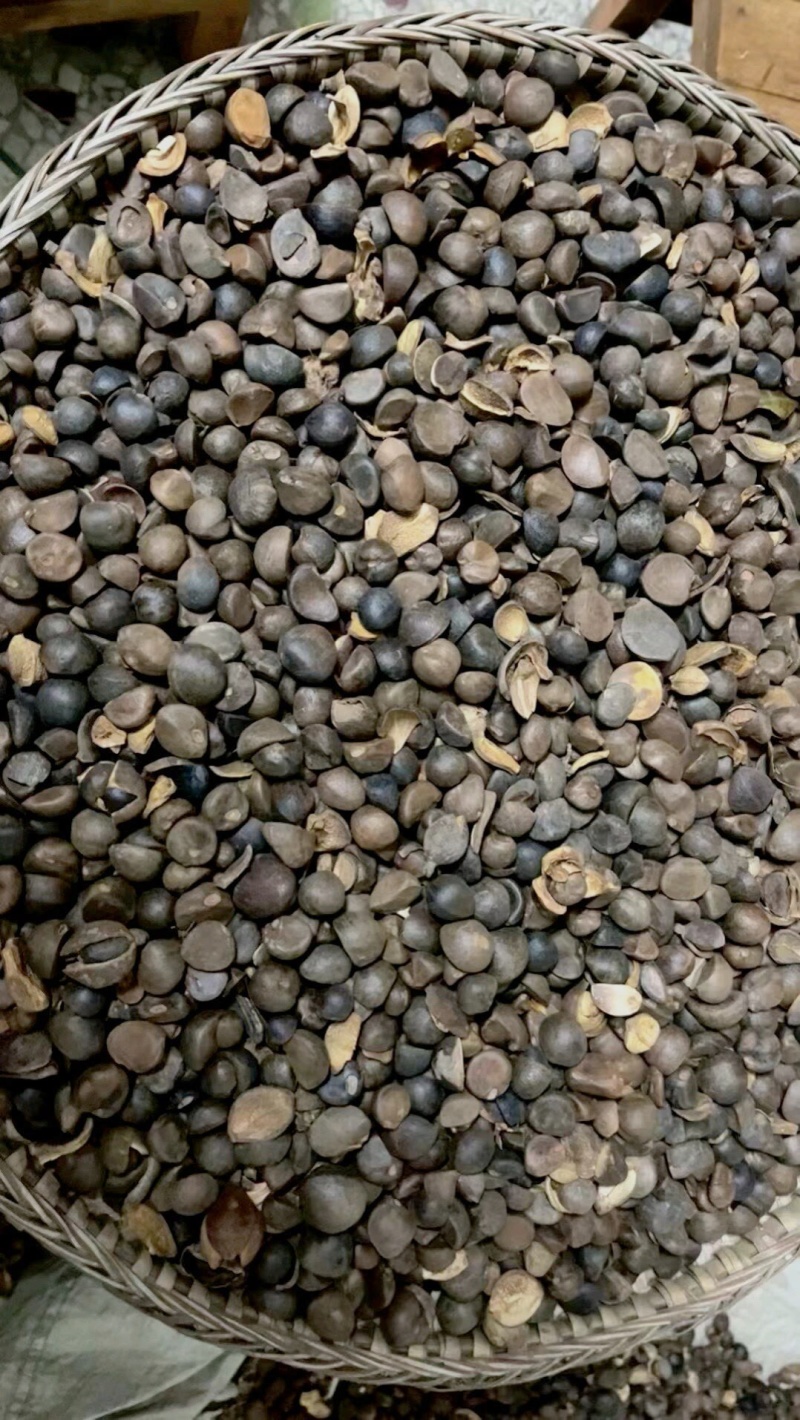 自家山茶油，欢迎老板拿货，支持一件代发，可以看样品