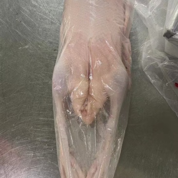 全鸭