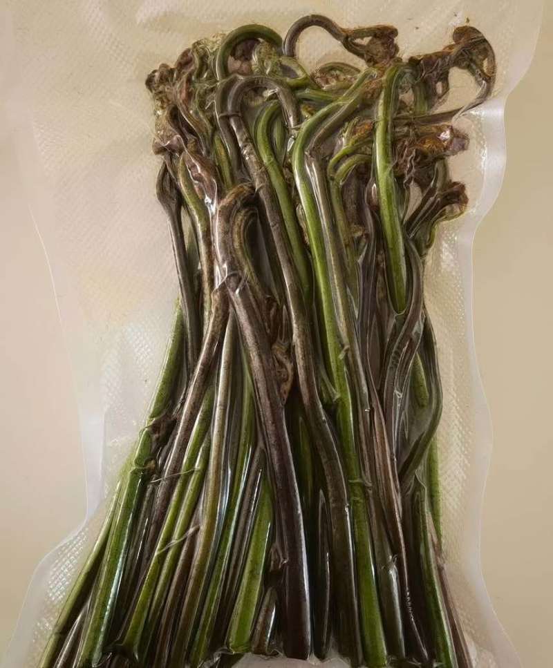 蕨菜青红蕨菜2026年1月陆续上市