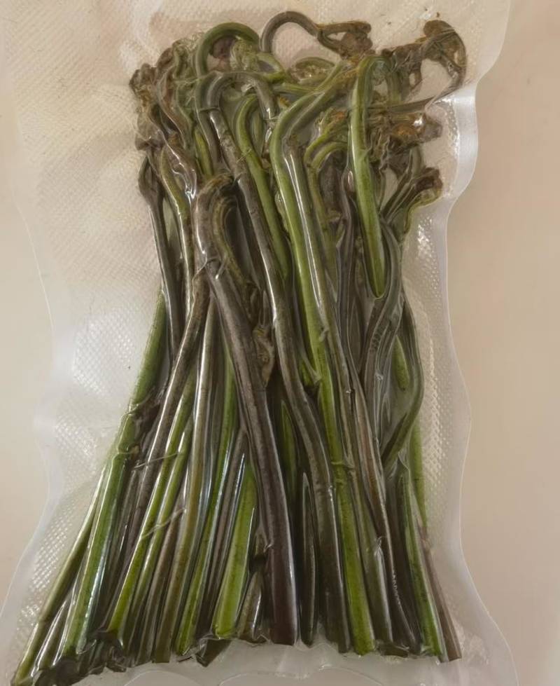 蕨菜青红蕨菜2026年1月陆续上市