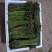 蕨菜青红蕨菜2026年1月陆续上市