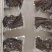 蕨菜青红蕨菜2026年1月陆续上市