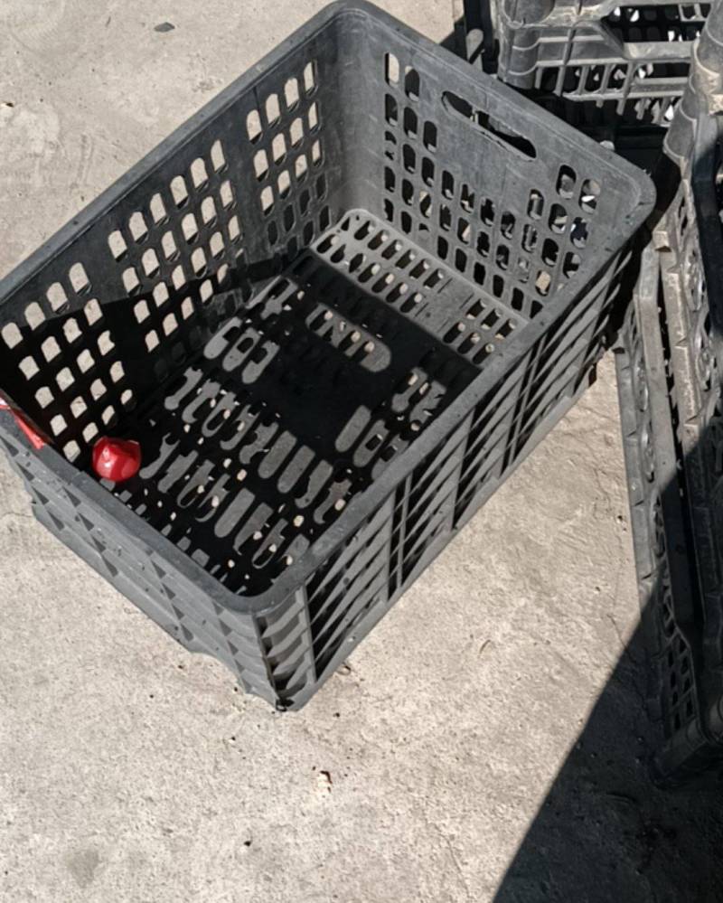 出售一次性塑料黑框