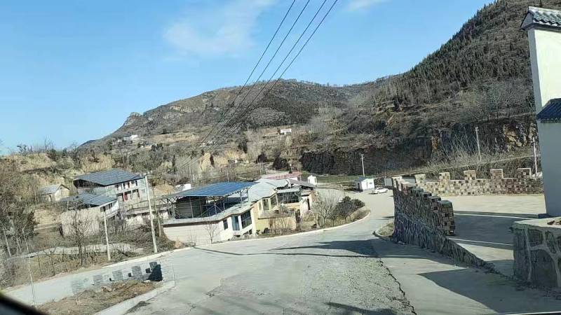 许昌道地桃枝
