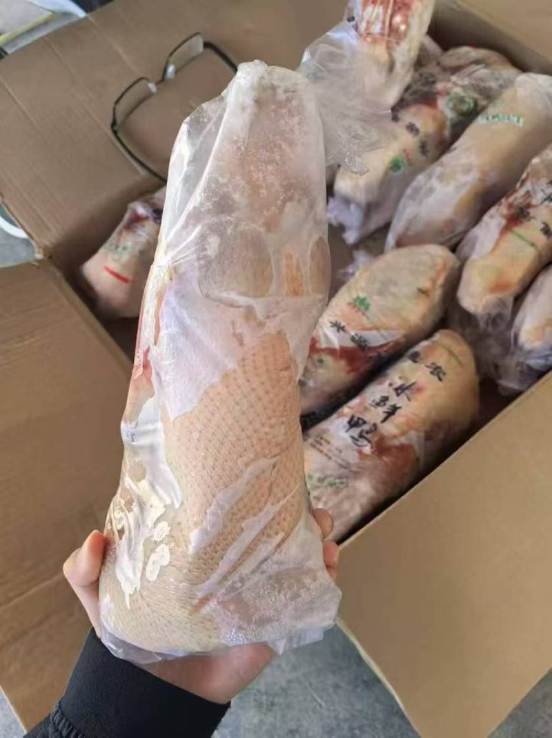 1350白条鸭