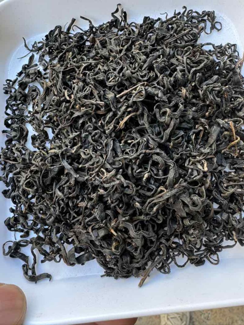 正宗广西梧州特产传统工艺原种六堡茶