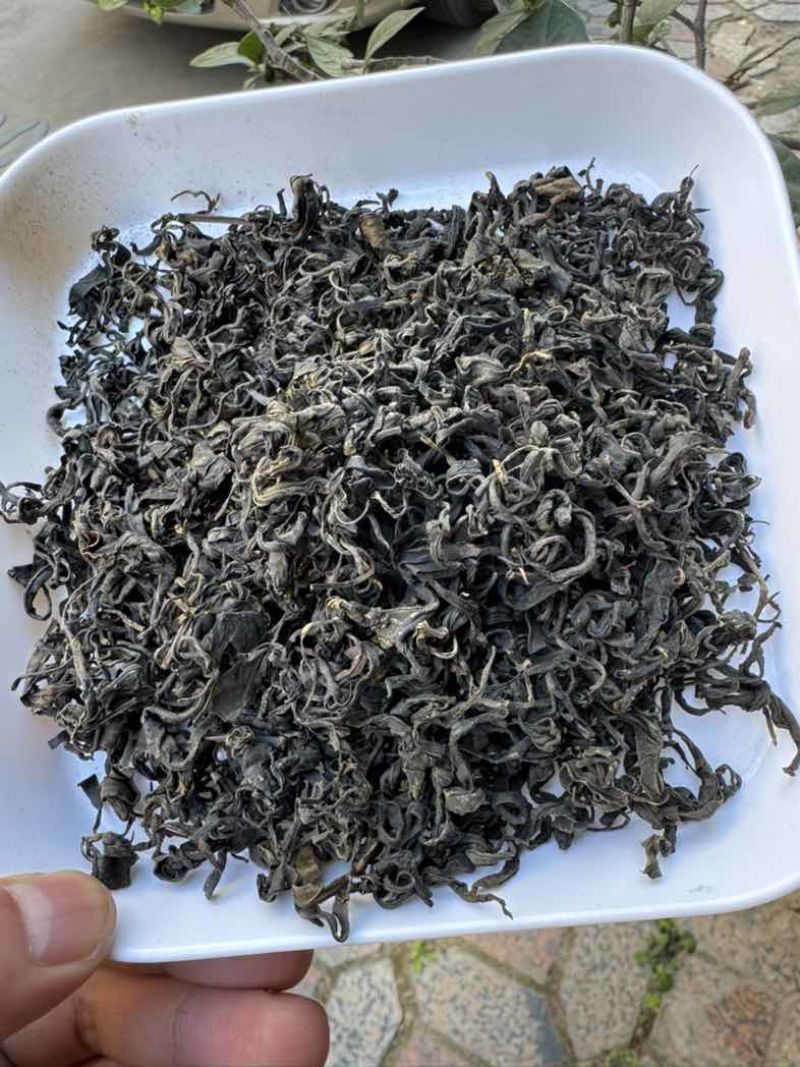 正宗广西梧州特产传统工艺原种六堡茶