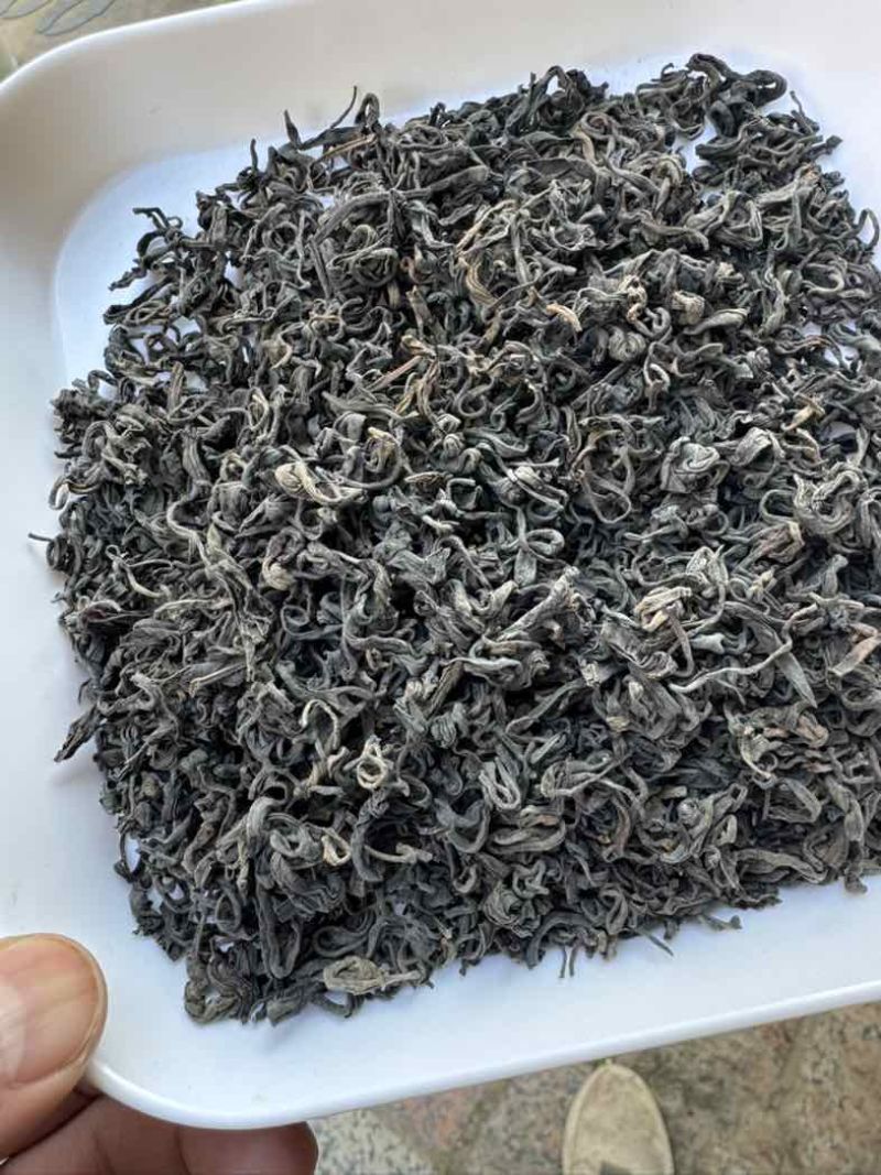 正宗广西梧州特产传统工艺原种六堡茶
