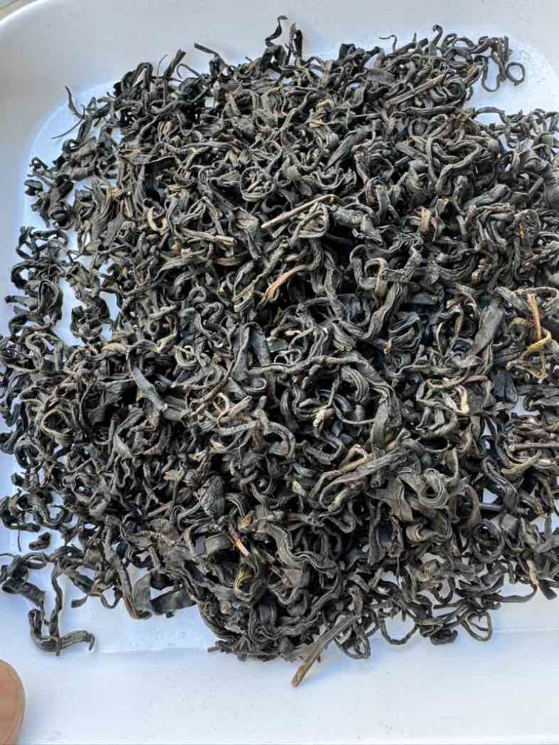 正宗广西梧州特产传统工艺原种六堡茶