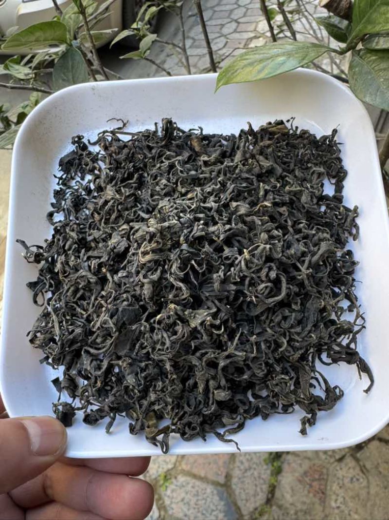 正宗广西梧州特产传统工艺原种六堡茶