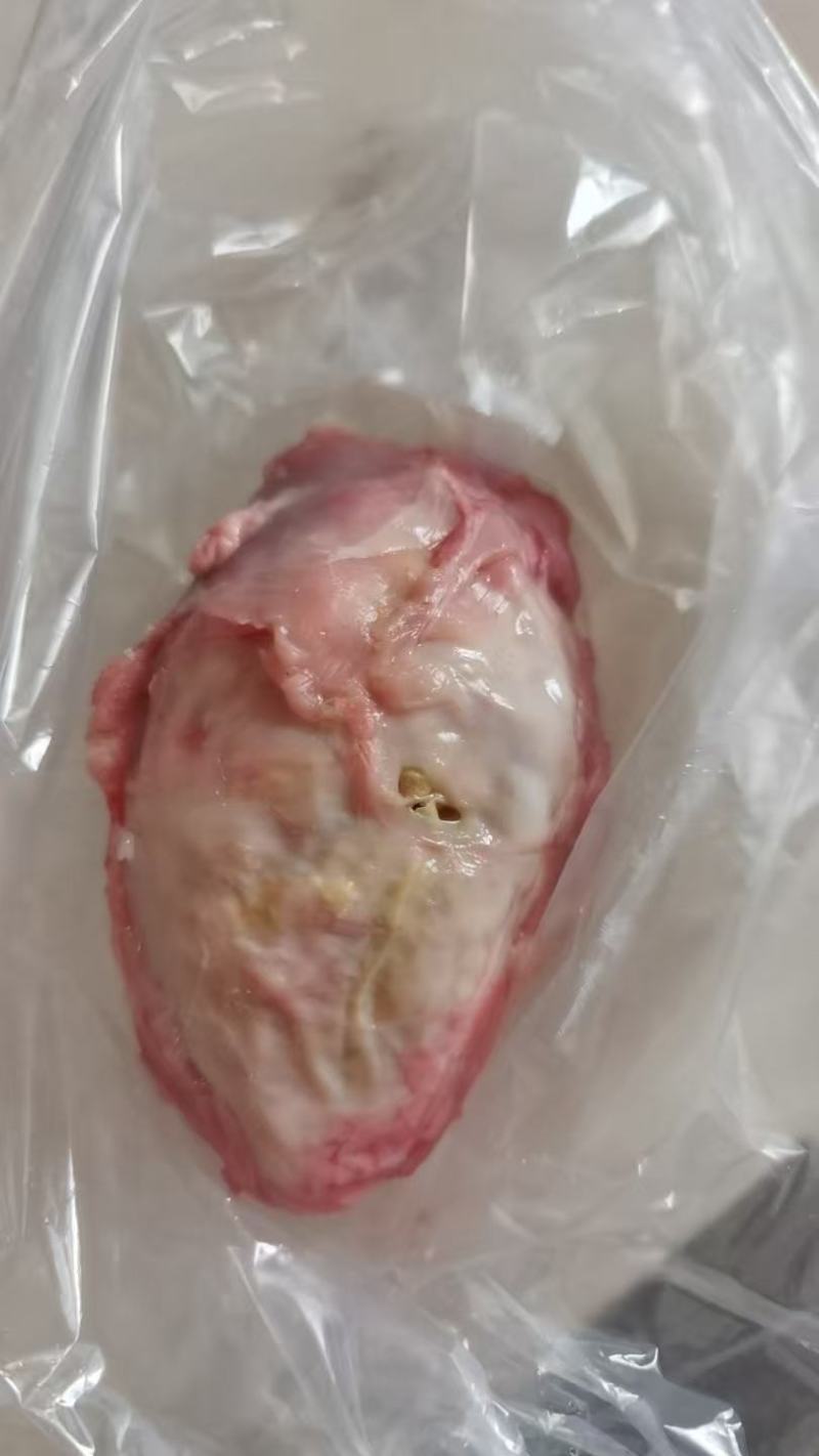鸭宝