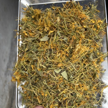 金银花