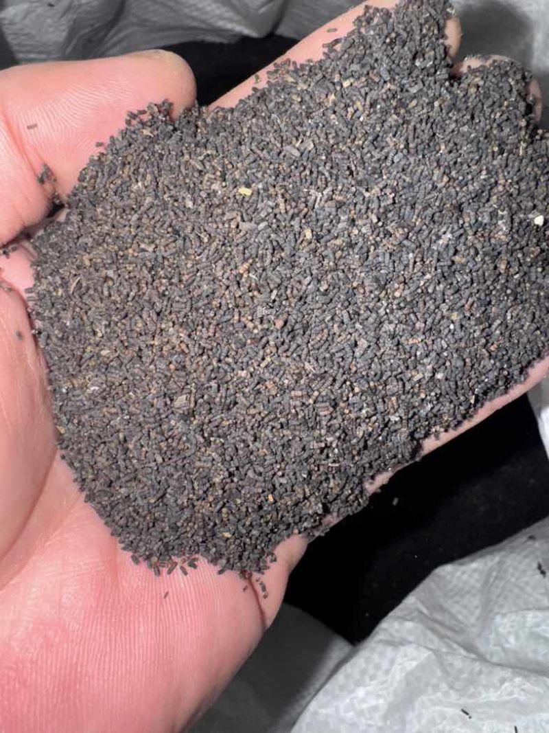 广西梧州陈年农家六堡虫茶