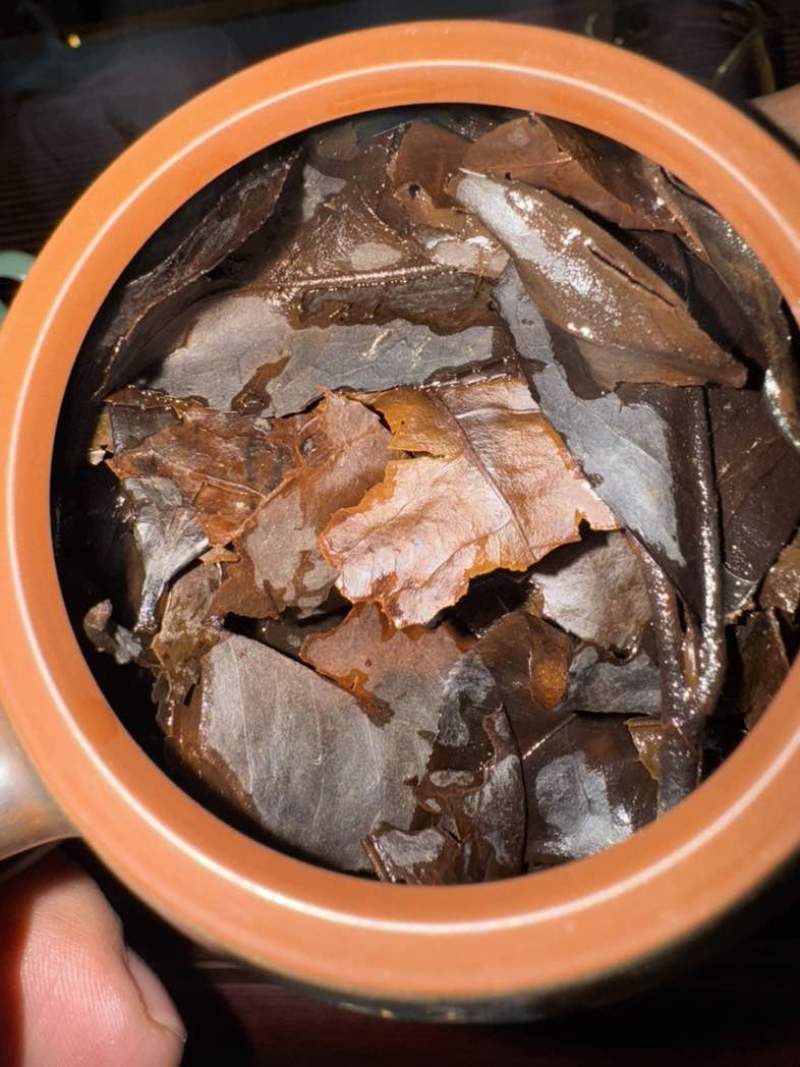 正宗广西梧州特产原种六堡霜降老茶婆砖一斤一砖
