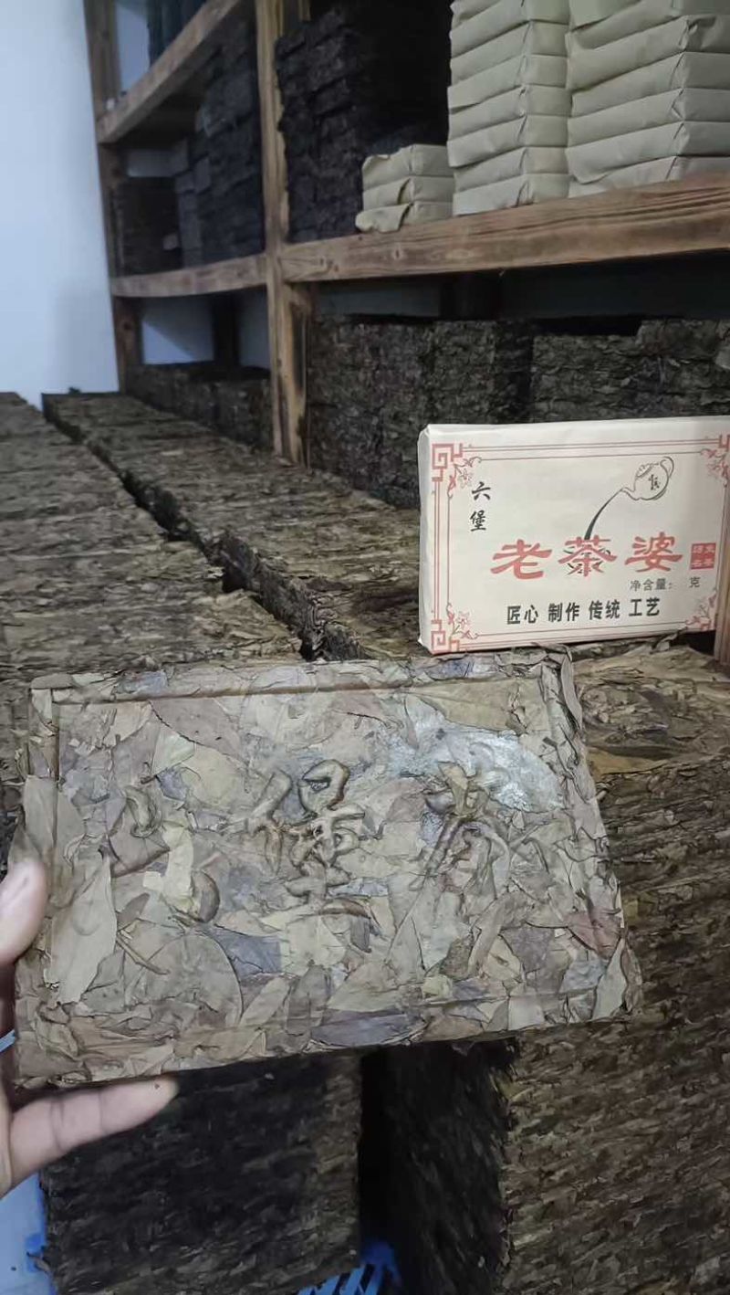 正宗广西梧州特产原种六堡霜降老茶婆砖一斤一砖