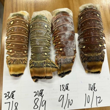 皇冠👑古巴龙虾尾5kg*4盒/箱
