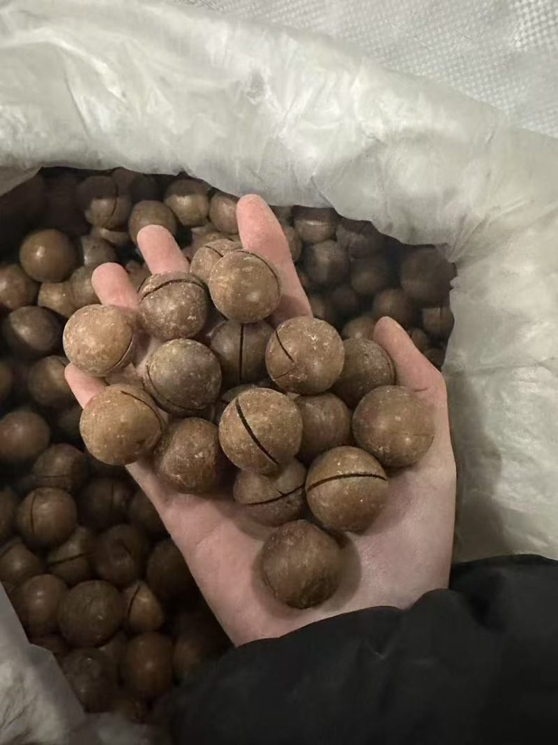 夏威夷果一手货源全国发货支持代发