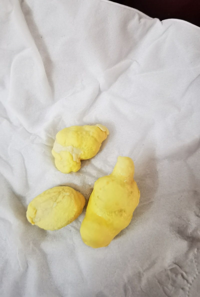 鸡宝（议价）