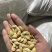 南瓜子原味好品质支持代发全国发货