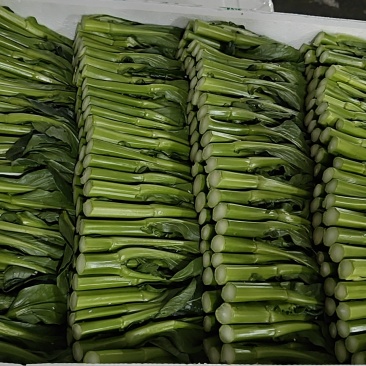 菜心