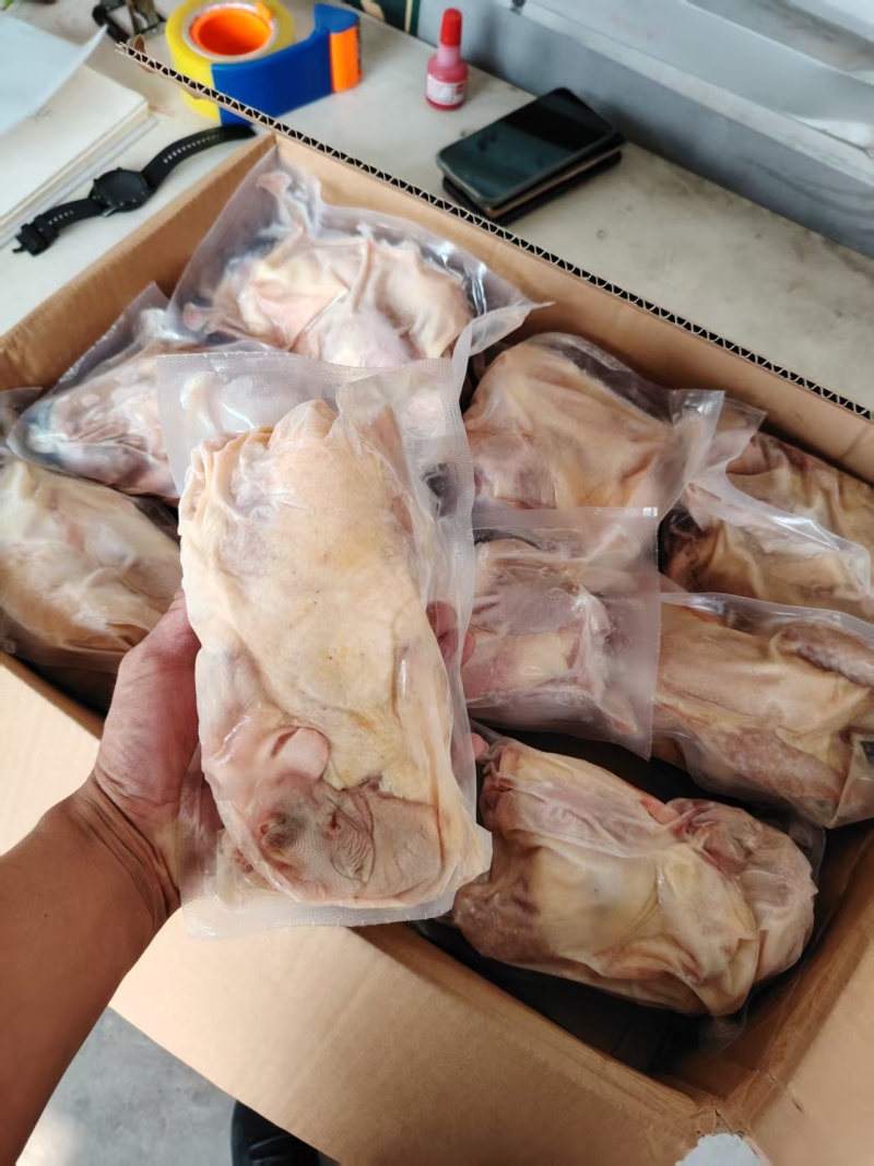 老母鸡11只