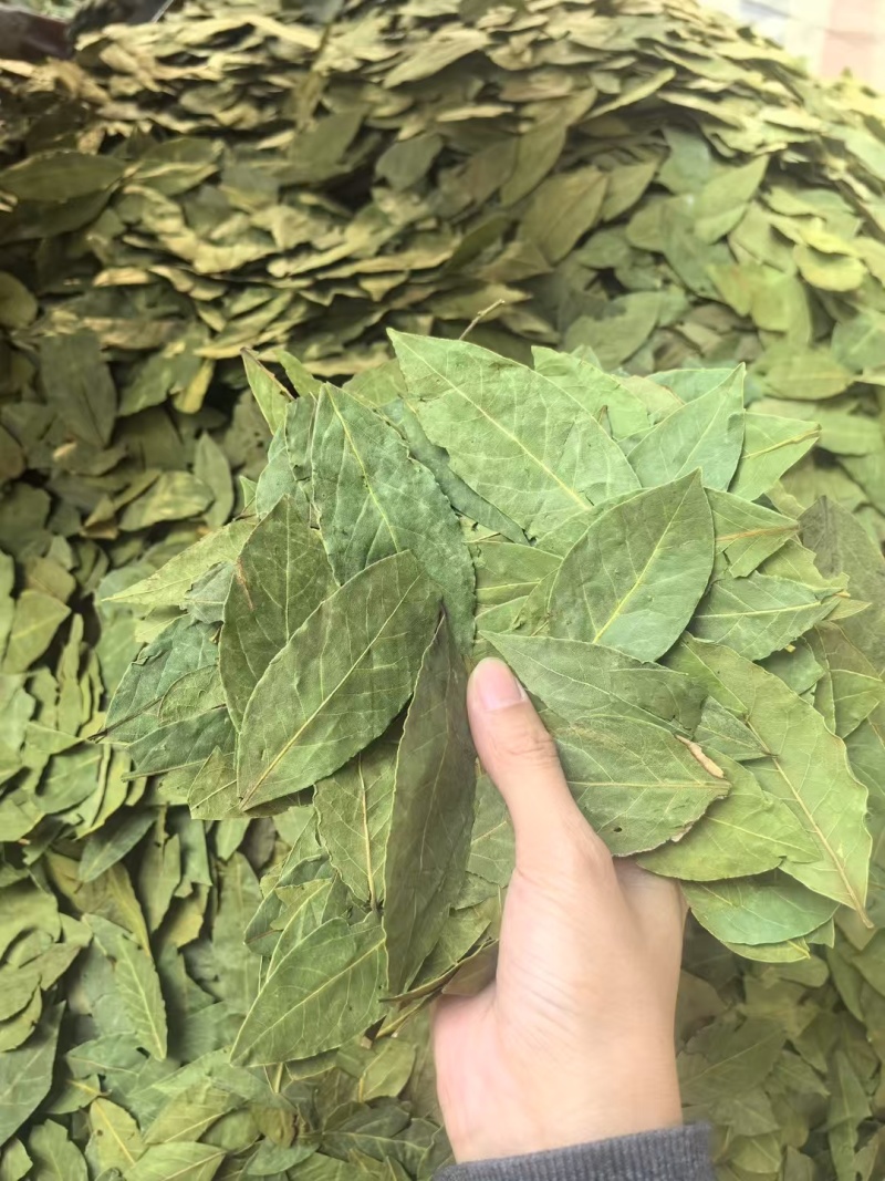 中绿，特绿，单A，双S