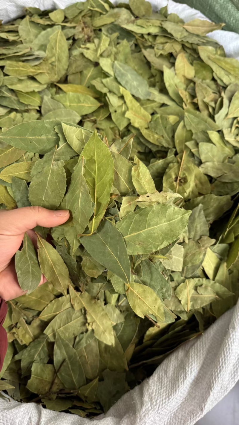中绿，特绿，单A，双S