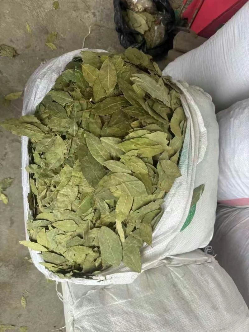 中绿，特绿，单A，双S
