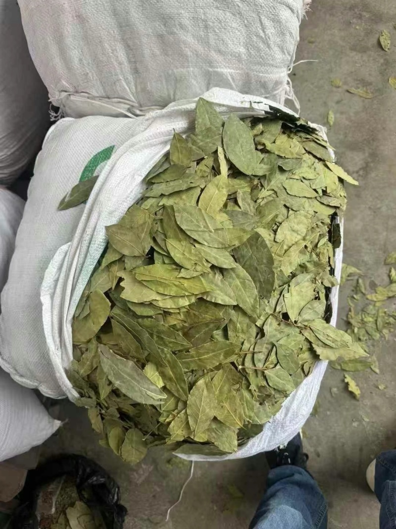中绿，特绿，单A，双S