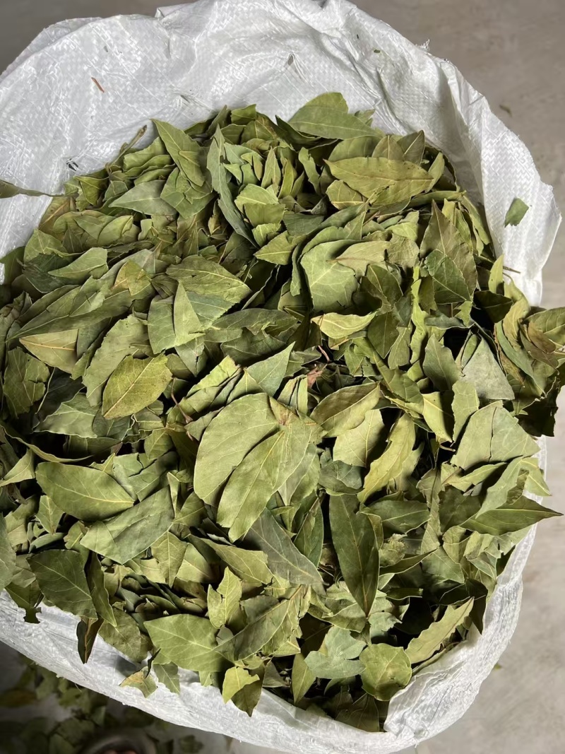 中绿，特绿，单A，双S