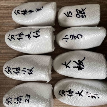 各种型号泡沫箱。泡沫鞋撑（覆膜）