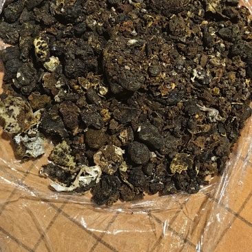 牛黄