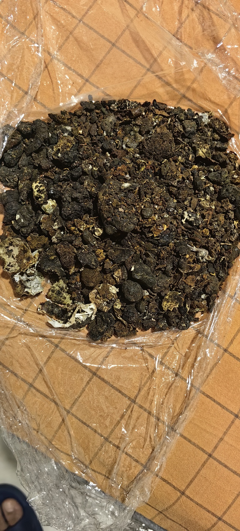牛黄