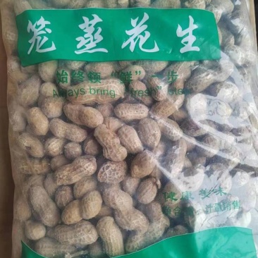 花生新货，现货充足，全国发货，烧烤必入食品