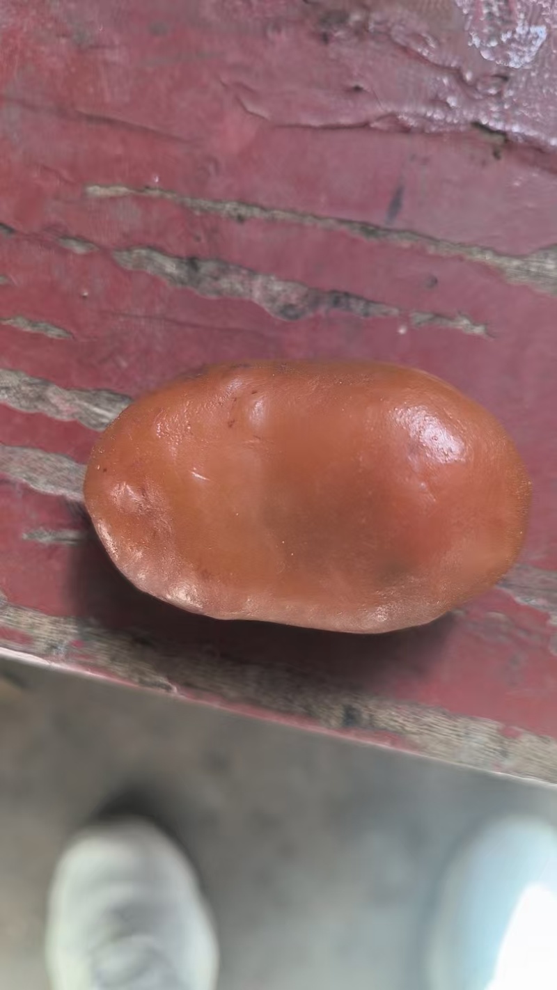 鸡宝
