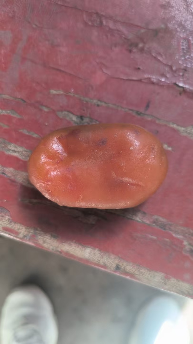 鸡宝