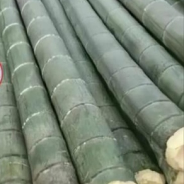 楠竹，毛竹