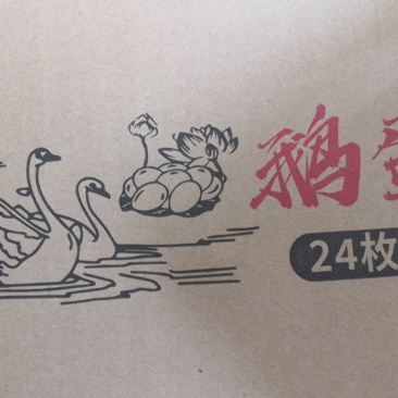 散养有精大鹅蛋
