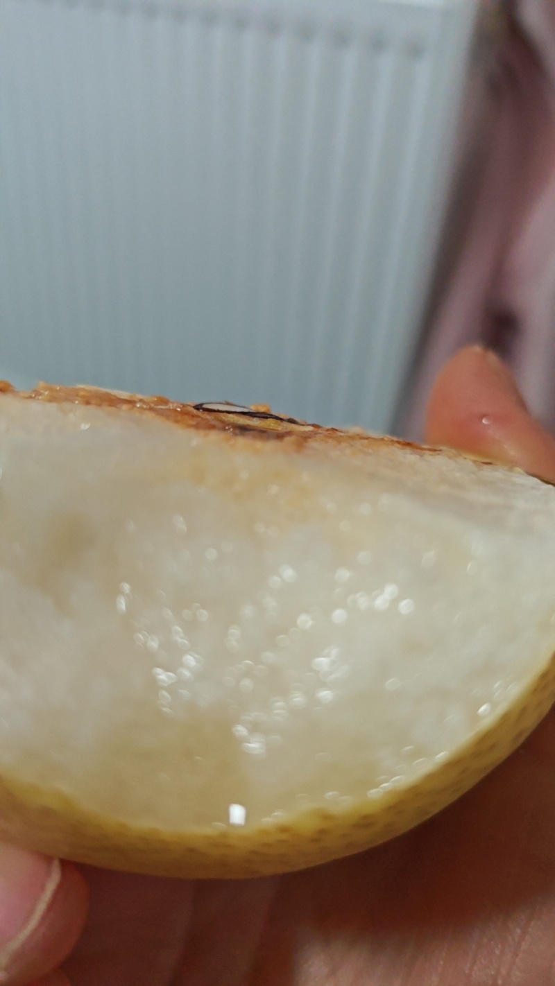 酥梨