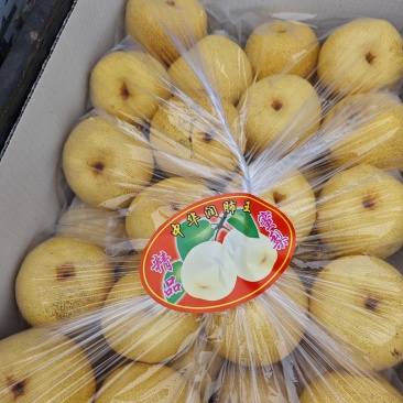 酥梨